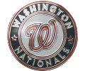 Nationals Logo Pin