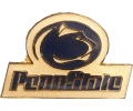 [Pennsylvania State University Pin]