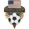 [World Cup '94 U.S. Flag Pin]