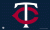 Minnesota Twins flag