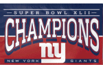 [Super Bowl 42 Champs Flag]