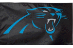 [Panthers Flag]