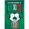 [Mexico National Team Banner]