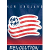 [New England Revolution Banner]