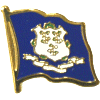 [Connecticut Flag Pin]