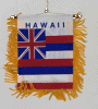 [Hawaii Mini Banner]