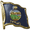 [Kansas Flag Pin]