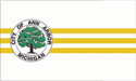 [Ann Arbor, Michigan Flag]