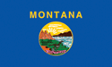 [Montana Flag]