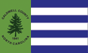 [Caldwell County, North Carolina Flag]