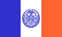 [New York City Flag]