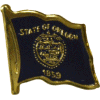 [Oregon Flag Pin]