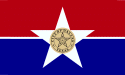 [Dallas, Texas Flag]