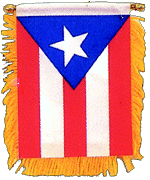 Puerto Rico window flag mini banner