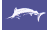 [Fisherman Catch flags]