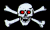 [Pirate flags]