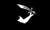 [Pirate flags]